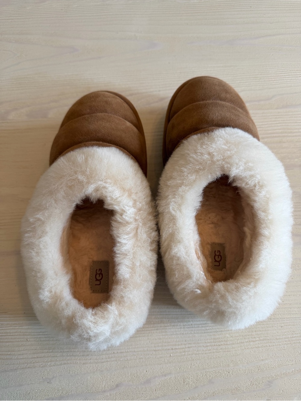 UGG tazzlita chestnut suede shearling lined. Women’s size 10. NWOT. Never worn.